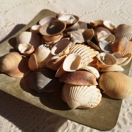 アパート Lucry *