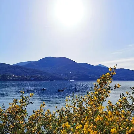 Lucry Procchio (Isola d'Elba)